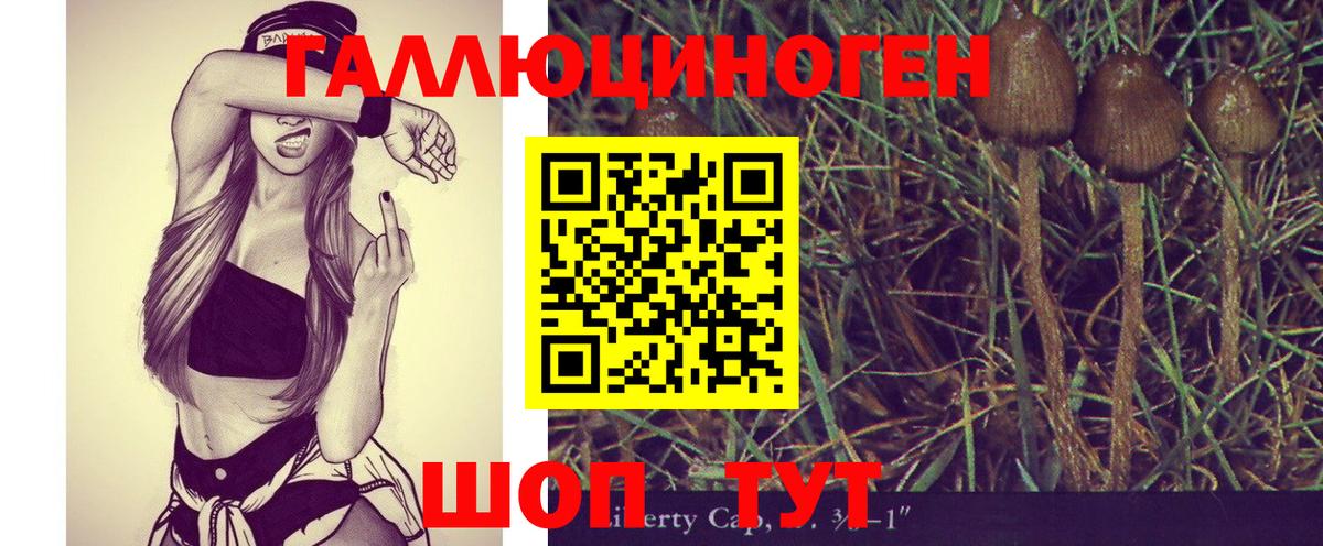 Псилоцибиновые грибы Psilocybe Королёв