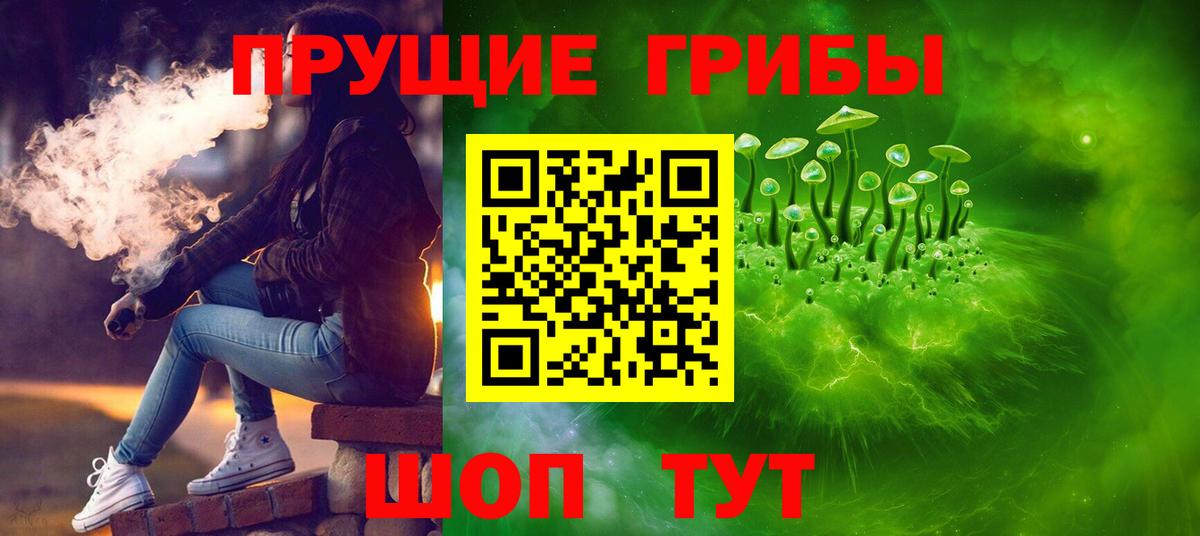Королёв  Псилоцибиновые грибы Magic Shrooms  Вход с VPN 