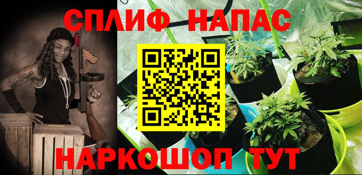 Конопля ГИДРОПОН  Вход с VPN  Королёв  Конопля конопля 